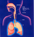 periodontal-procedures img 01